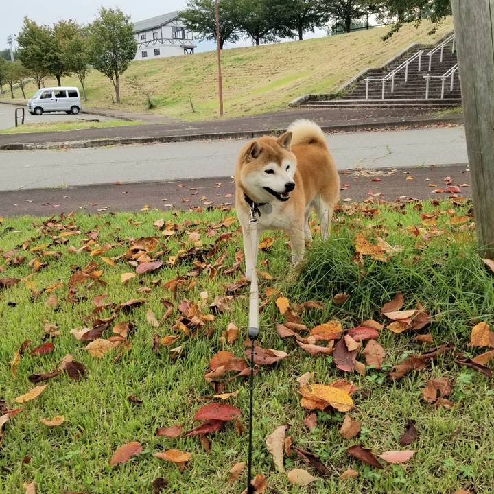 13584df4 f9f7 4d25 8f97 6f90e7a85e56 1631429951346