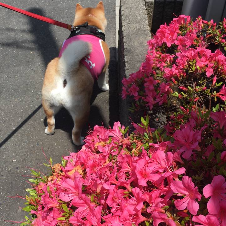 13585a07 e209 4621 a84a ed5753a3a206 1591506480551