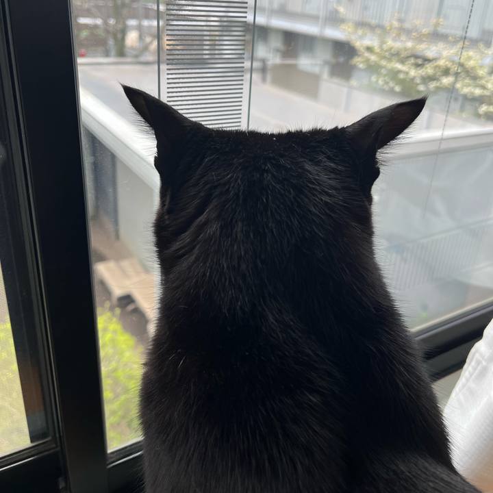 13586614 1782 491f be61 f97b618d6203 1744341039852