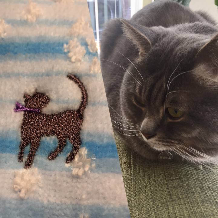 13589779 57f9 4292 8832 e7ac8bc2f1ee 1548078892429