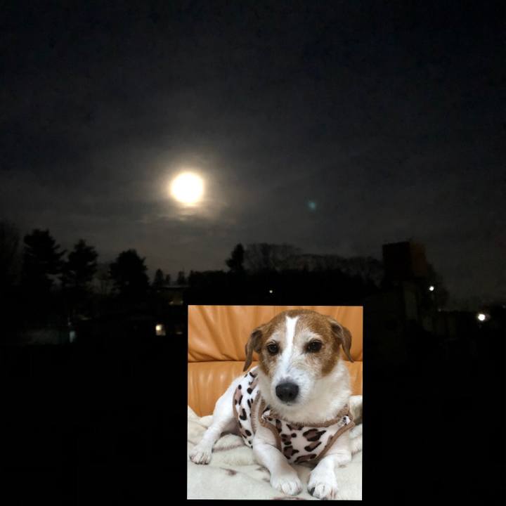 1358a0a8 abb2 4403 a23b 550bd0bf04e3 1583751379692