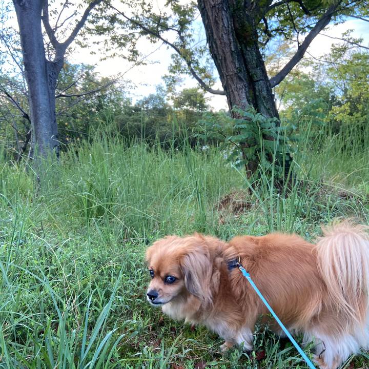 1358c1d2 2cb0 4223 9897 dc6a3ebd5b44 1600033091570