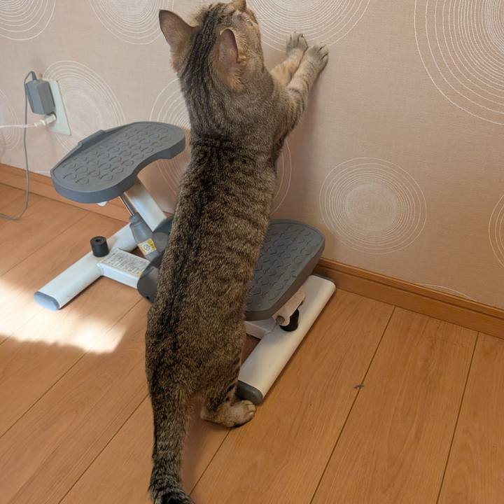 1358dcab c9db 4af9 ac9f 983b42e91aed 1771541842104