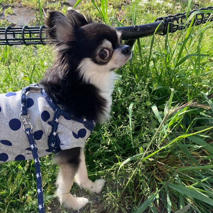 1358e566 e01e 4860 8de1 03b548fa185b 1649512806130