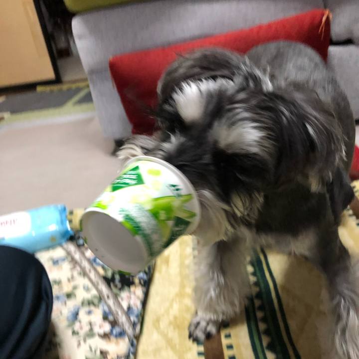 1358e869 2d39 44e0 92b1 d0058433be51 1647162951042