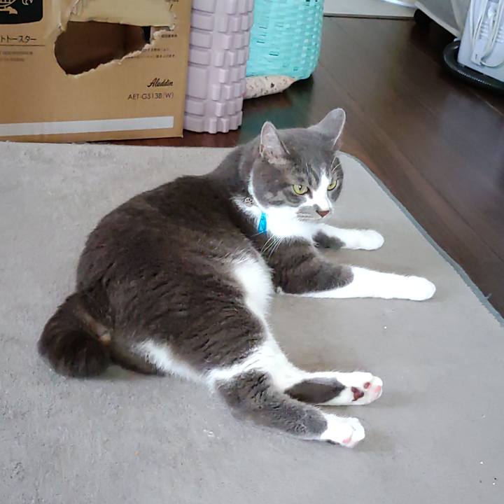 1358ecb7 86ce 4dc3 8b1d 557dfb60bd9a 1718846625691