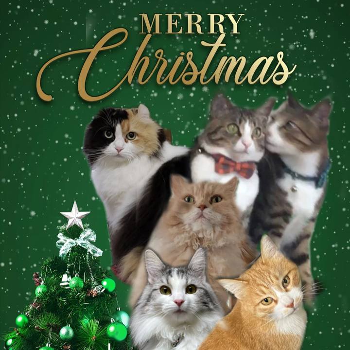 13591ccf 985d 4498 9eba a29b023625e2 1671656780829