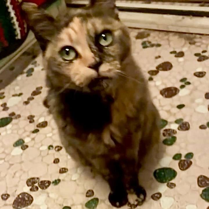 135926d4 cd01 4980 9528 ab3e50ad0f6a 1748635202419