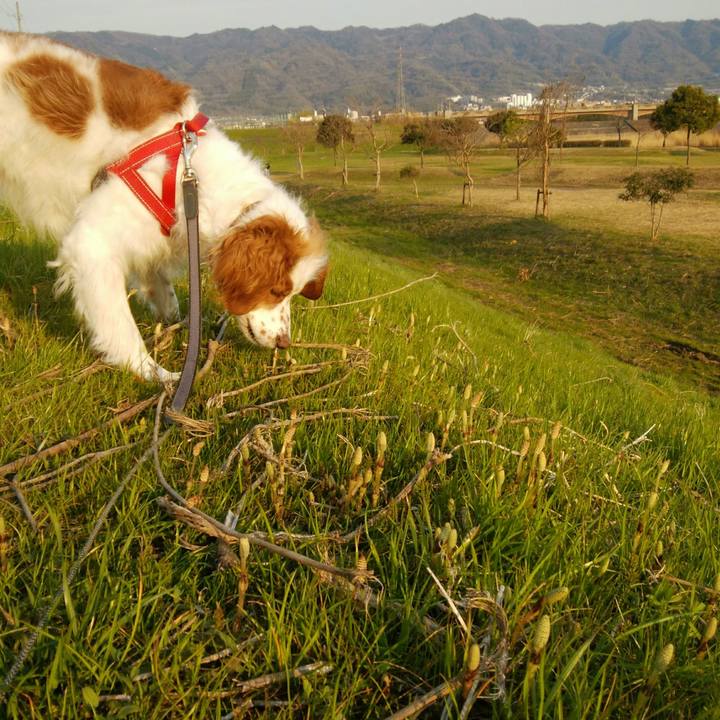 13594bf0 837b 4df0 b59f 2f1ce378b2fb 1552640391340