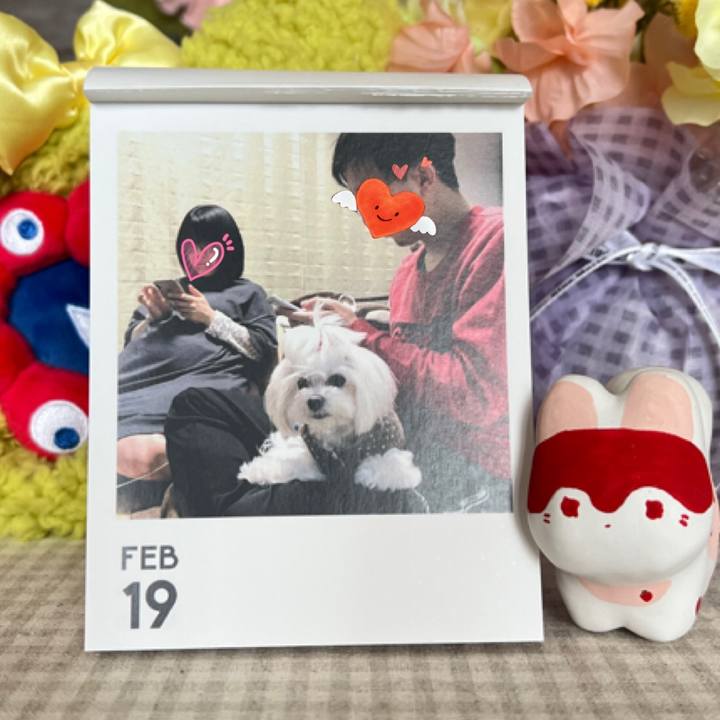 13595b23 2334 4319 a72c 40d913b0c2ae 1771473218869