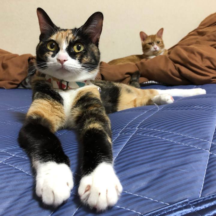 13596566 b55d 4c78 89c0 73acbd181625 1561643943259