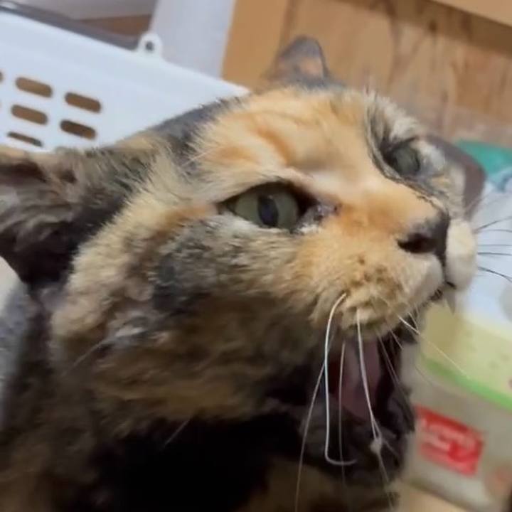 13597f6c 3162 40bf ac78 b07493c48d7c 1768421788662