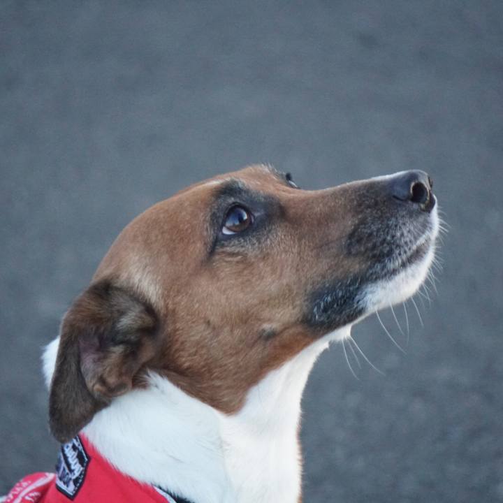 1359fc99 0a1a 494f b4d0 160f936bb220 1516921657328