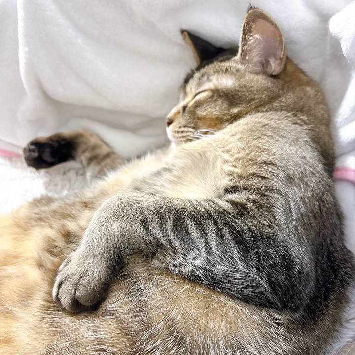 135a119c 2b9d 416d adb5 30c54b85e9a7 1765287195990