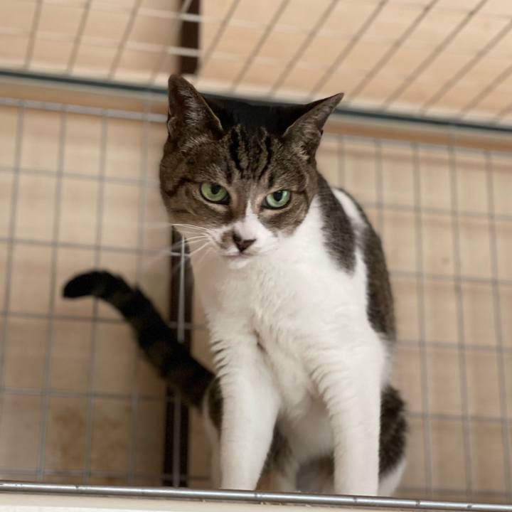 135a1395 f344 45f6 afdb d8422b61b74d 1652753757838