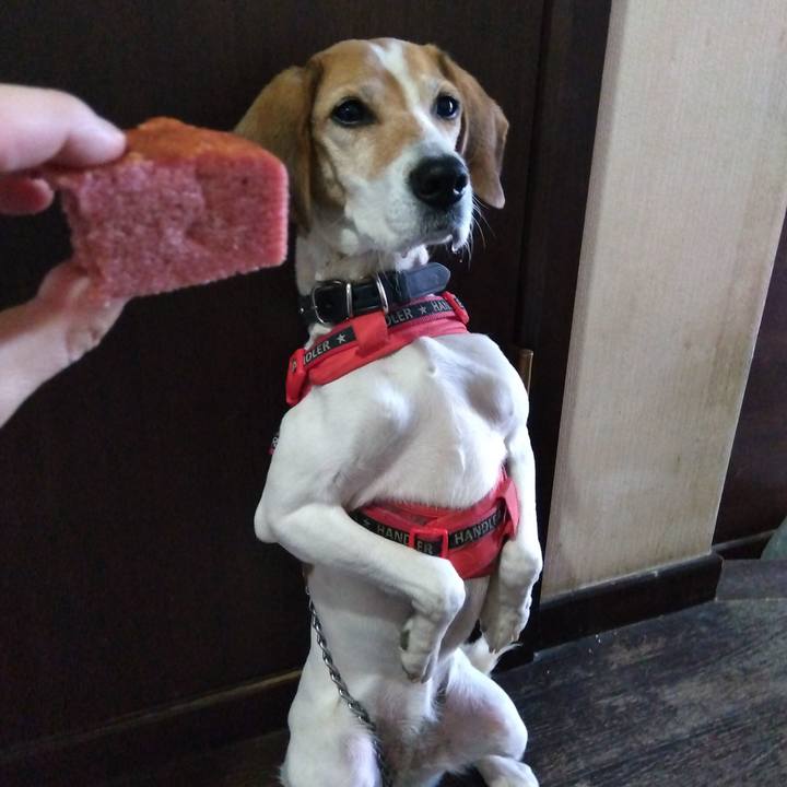 135a54f1 0f5a 4c99 8404 84552ffb7756 1703243147716