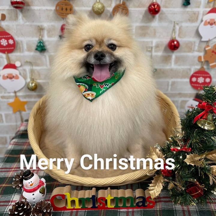 135aafcb 5beb 45d3 b38a 010c66edc539 1735096285528