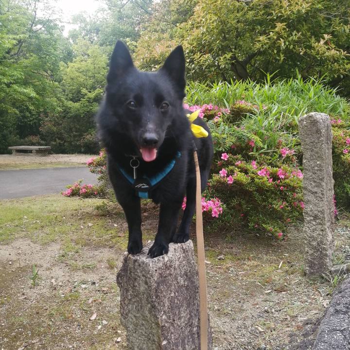 135ab2a0 dde2 4c63 bd87 3b09cd6b2244 1652821940704