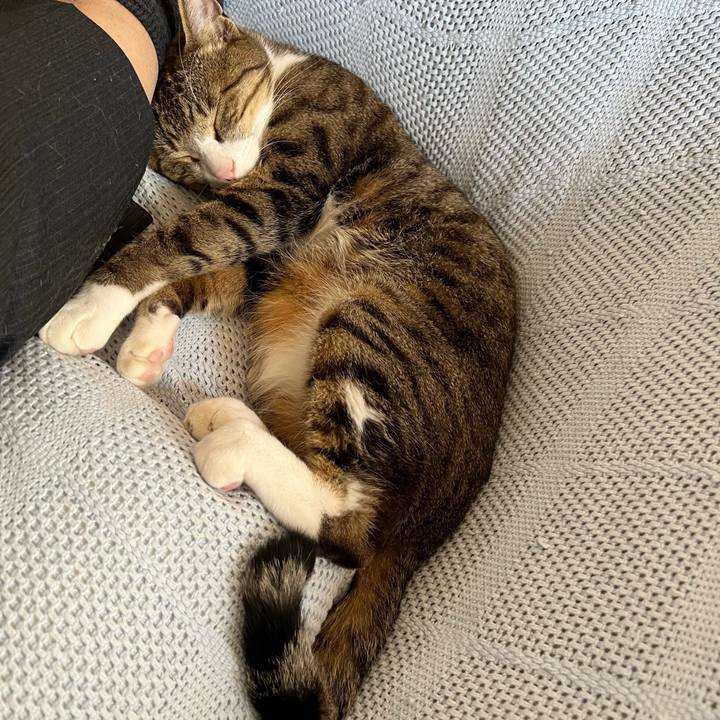 135abf10 4137 4e3c a508 fb50cd6b6e37 1722228617632