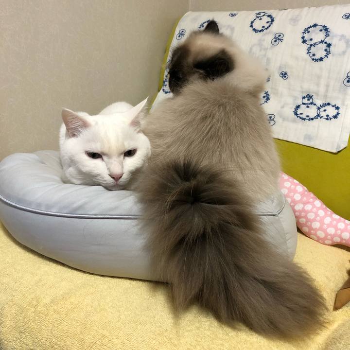 135ac816 c10c 44f0 bf8a d9b3aef56544 1645246956833