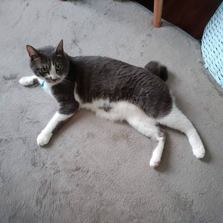 135afa34 b734 4b12 92ed 934376b776e4 1655851321977