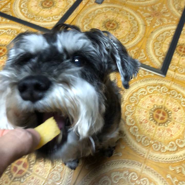 135afd4e 6203 46ea 84e2 2070be63c249 1653918628935