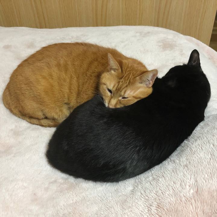 135b161e 9578 4c1f 8ae9 2ea83c0fd882 1711719769314