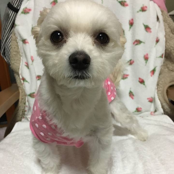 135b19db b11f 4447 b92b 2017ac976ec9 1508803433332