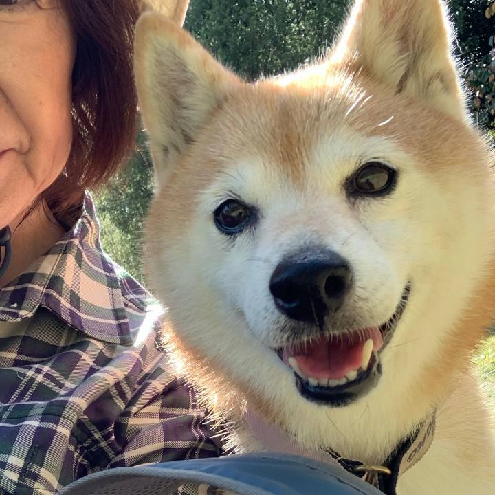 135b3a0f 2c5a 49ab a62f 211db98f4869 1697263357276