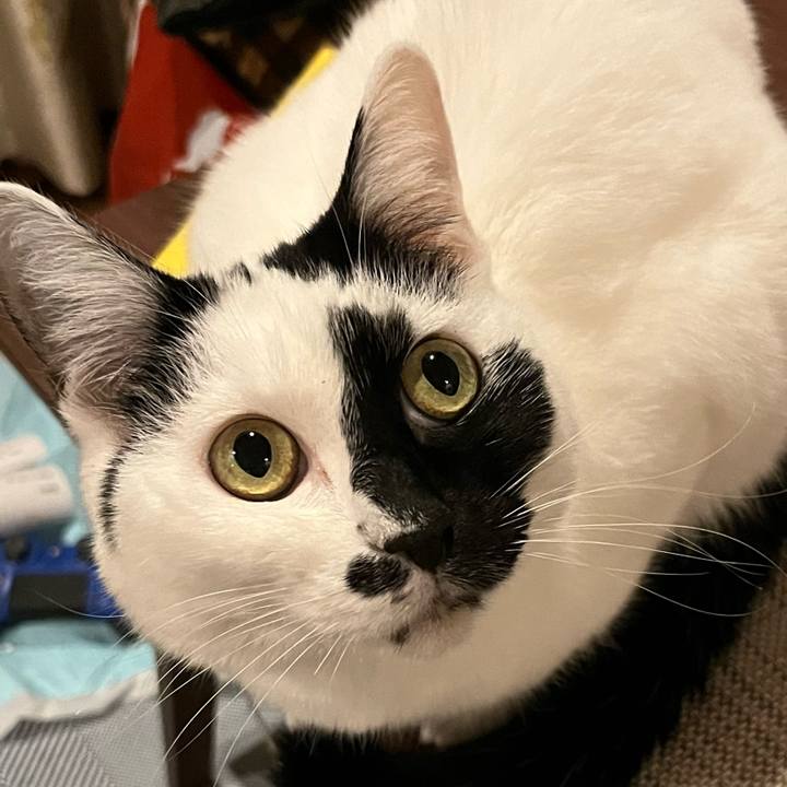 135b4f97 b5b9 4f7a 8879 ff3f83b95cb9 1762438544775