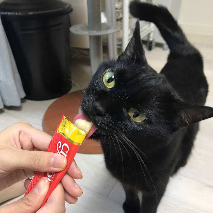 135b6c33 fd36 4e19 984b c3f17f805ec0 1510386225199