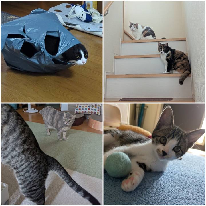 135b846b 8545 4bba 81fe b80773cd0ac1 1720517341106