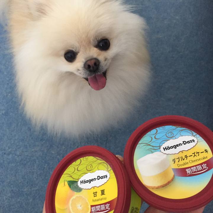 135b95d5 40f7 4942 a5b4 5d3aa735e2e3 1532333974503