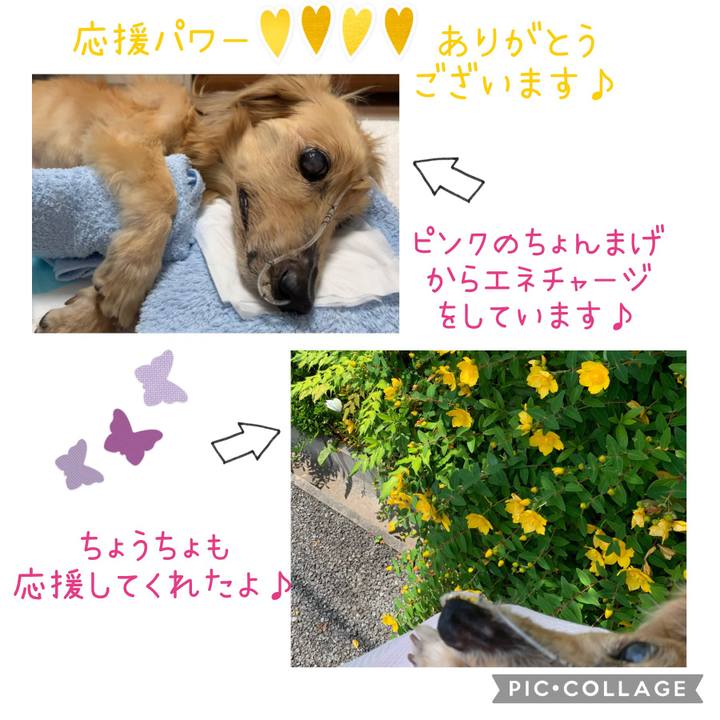 135bb762 09ff 4238 8b11 da45cedf4a78 1653810040940