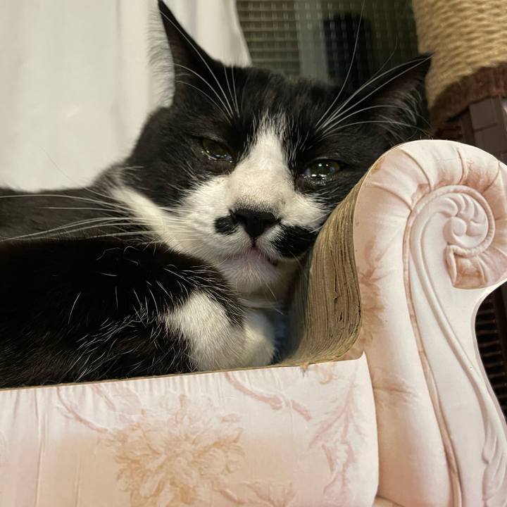 135bbbe6 b439 401d adaa bf76948038c8 1673443483251