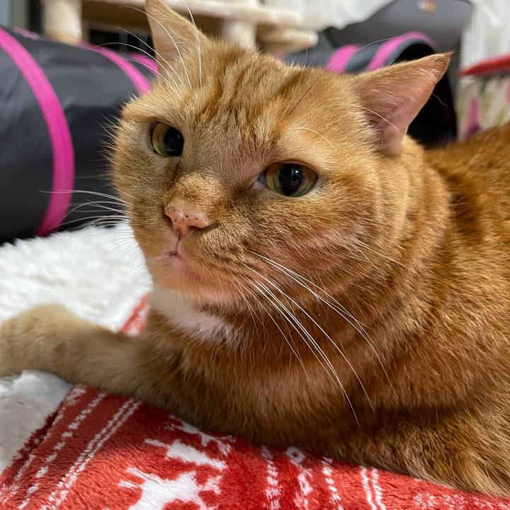 135be2ad 4a7c 469b be18 144d0fc99daf 1637317157007