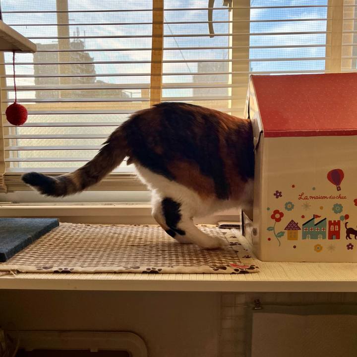 135bed1b c501 40a4 8f36 a27ff13214a5 1699395280216