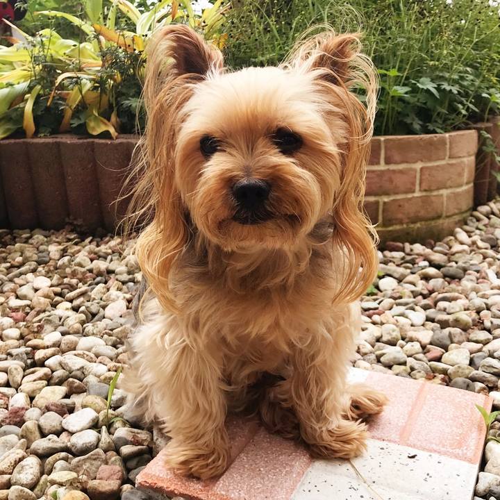 135bf1dc 62c8 4d50 be16 10dd0f06246a 1531050811860