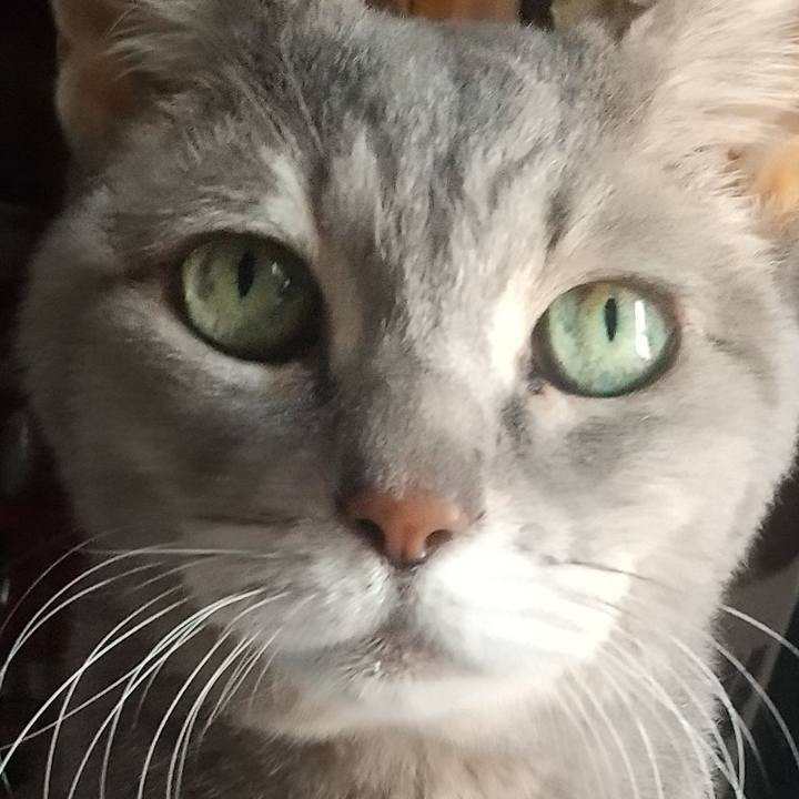 135bf2f2 940f 4d4e b277 6a08156fed6f 1698457989620