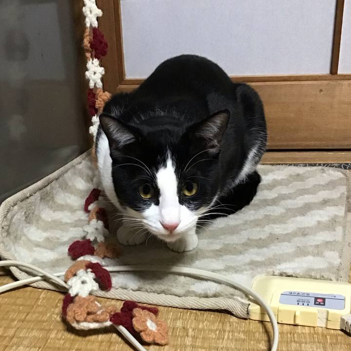 135c4b7a 9064 4b07 8a25 4f6db9867045 1645180749386