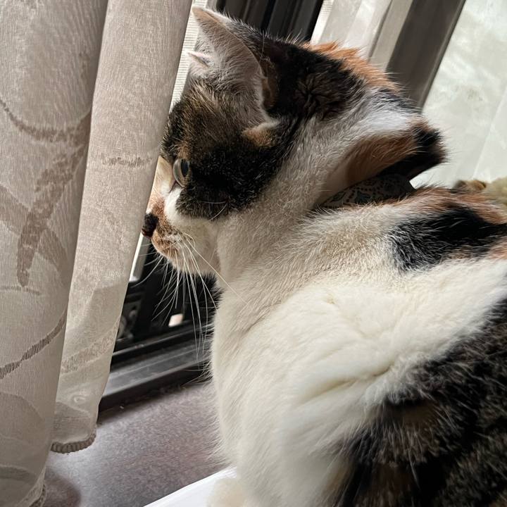 135c6b86 35c4 4ca6 b51d 62552912ec57 1772489480670