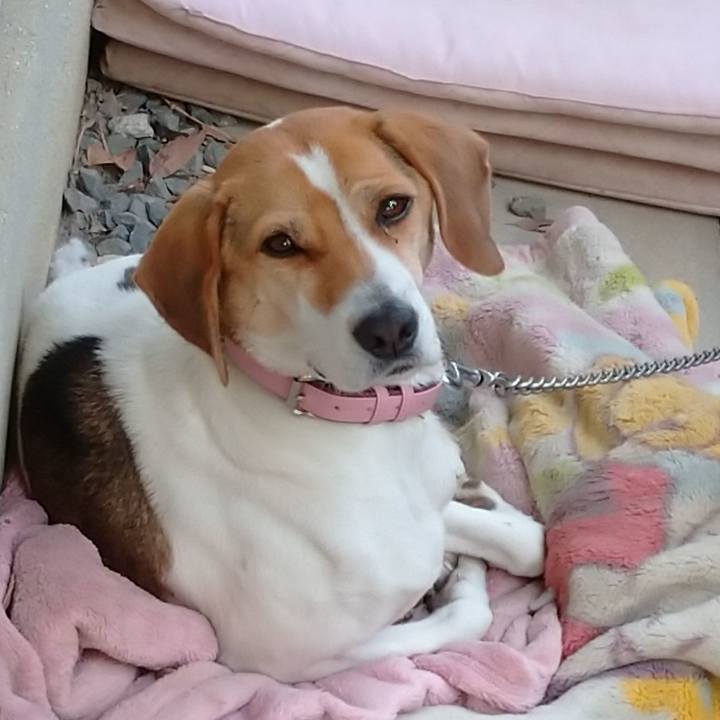 135c8033 f9f2 49b2 a731 f17541ec6f67 1576810597089