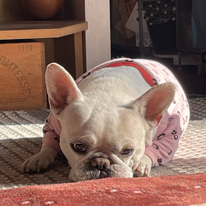 135cabc1 559b 4acb b322 2f09450cb68b 1738277161162