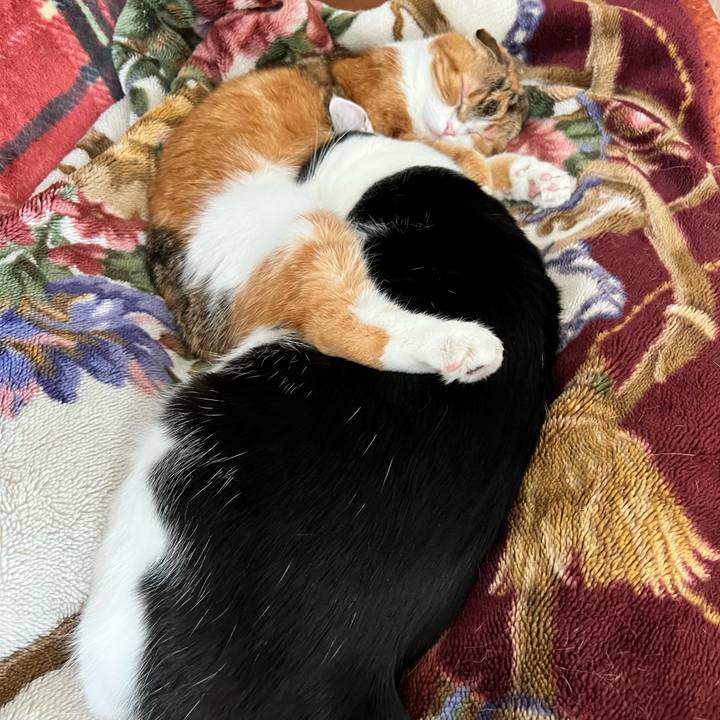 135cae0c e30c 4f84 b7c5 857048a5490f 1708128278918