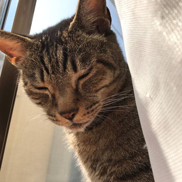 135ce272 cc42 4bb6 bb06 b66d1eed765b 1507684775922