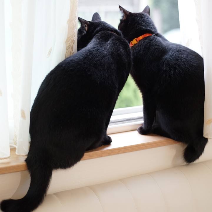 135ceaf8 ead1 439a b8f8 2df56bec6d71 1533599015855