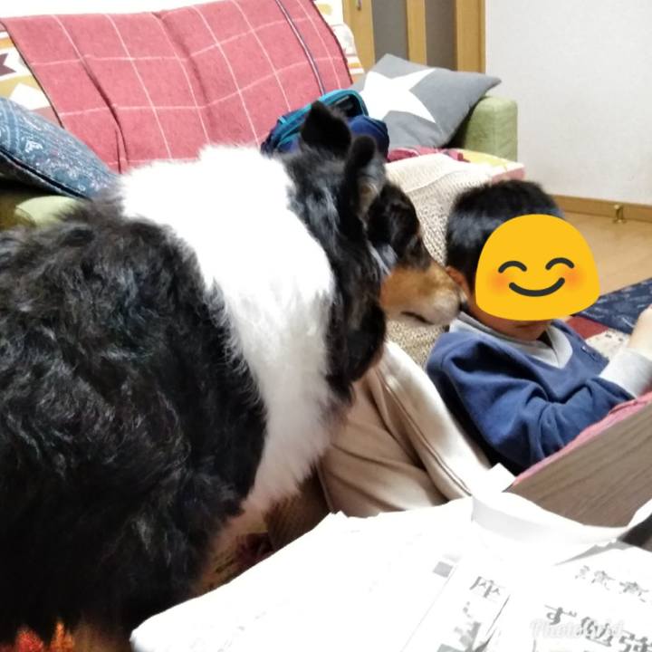 135cf4fd 36f4 4a87 aab6 8bf80956af28 1548165683828