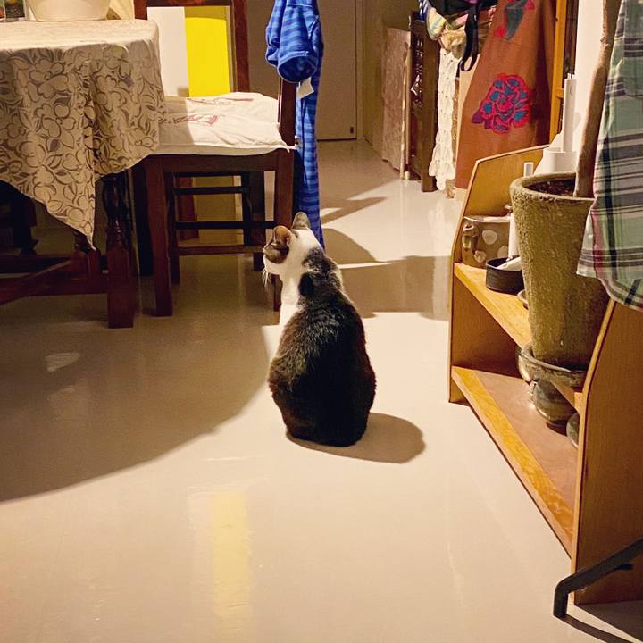 135d246c 512f 4a79 8a84 2e80a1b73194 1595589537093