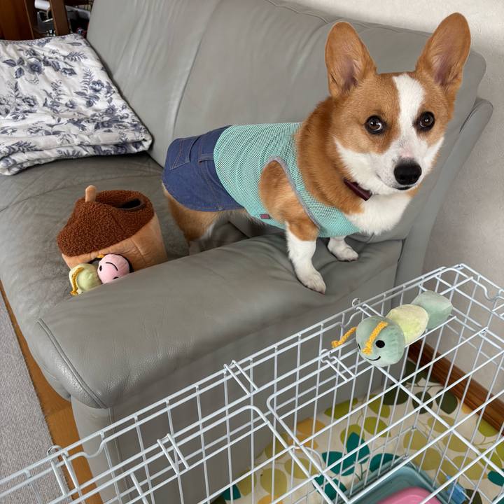 135d36c4 20e6 45c7 8710 6aaa9242982c 1757914134490