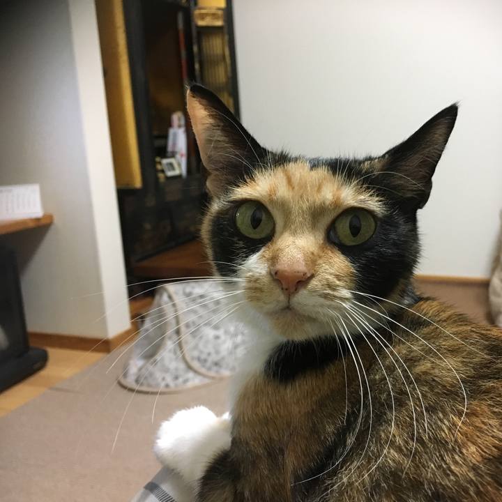 135d5468 647a 4425 b4a5 063bb2f98c7e 1508410384809